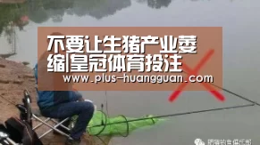 不要让生猪产业萎缩|皇冠体育投注(图1) 皇冠娱乐