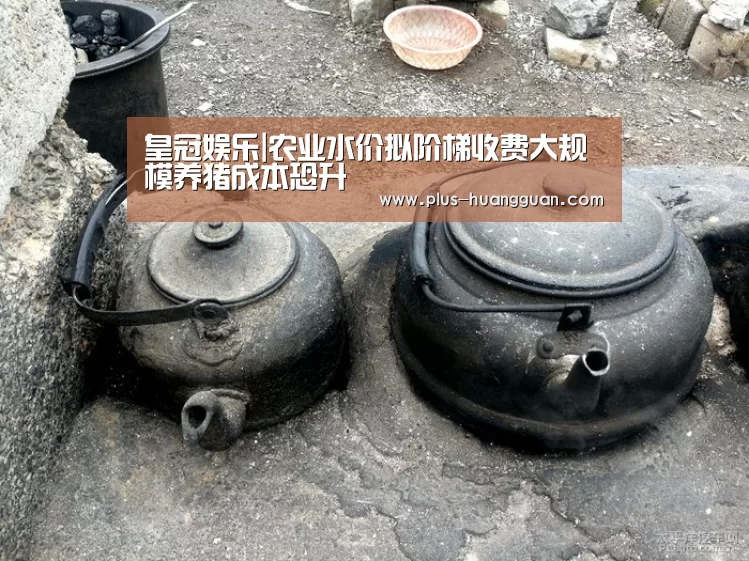 皇冠娱乐|农业水价拟阶梯收费大规模养猪成本恐升(图4) 皇冠体育投注