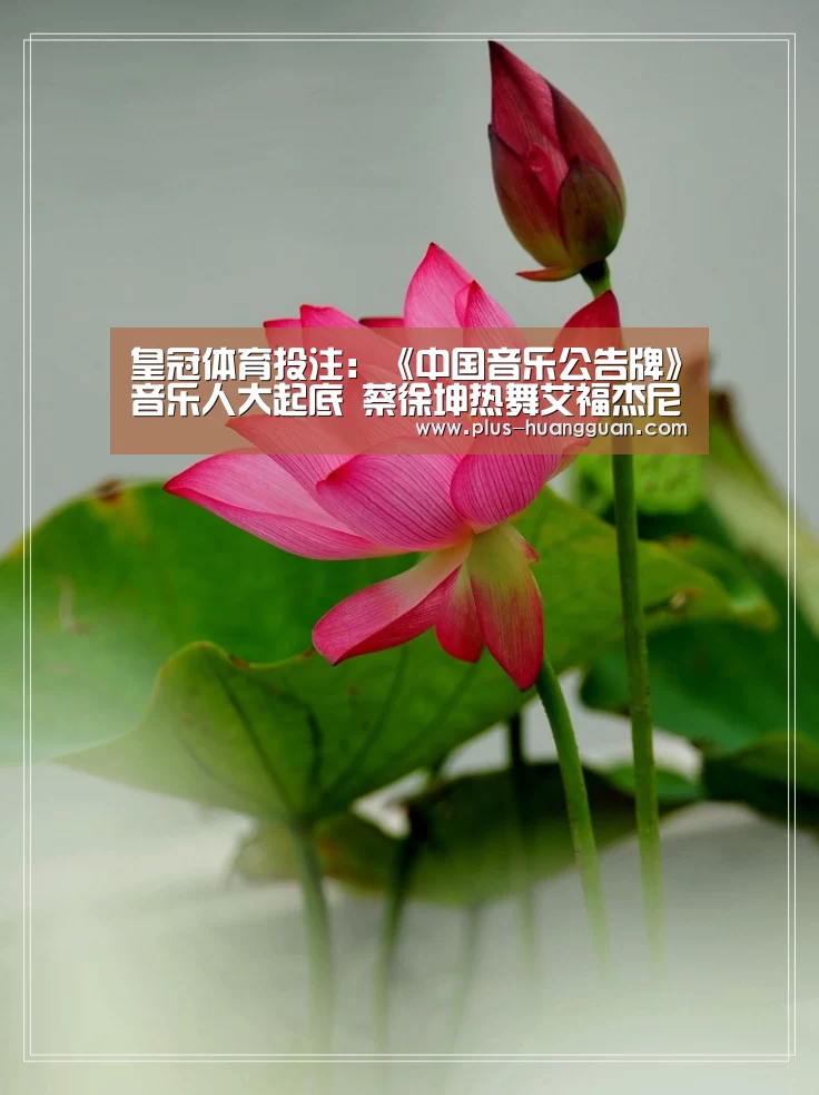 皇冠体育投注:《中国音乐公告牌》音乐人大起底 蔡徐坤热舞艾福杰尼卖萌(图1) 皇冠体育下载